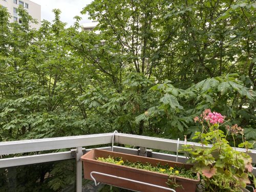 VENDU Appartement 5 pièces